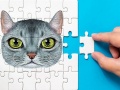 Lojë Sfida e Puzzles Abisin në internet