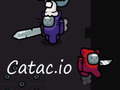 Lojë Catac.io në internet