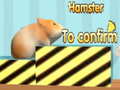 Lojë Hamster Për Të Konfirmuar në internet