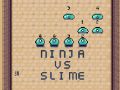 Lojë Ninja përballë Slime në internet