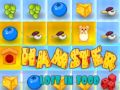 Lojë Hamster I Humbur Në Ushqim në internet