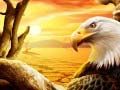 Lojë Águila në internet