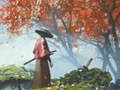 Lojë Refleksioni Samurai në internet