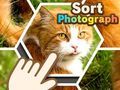 Lojë Rendit fotografitë në internet