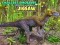 Lojë Pazulli i Dinosave më të Vegjël në internet