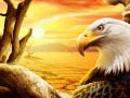 Lojë Águila në internet