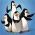 Pinguinët e Madagaskarit Pinguinët e Madagaskarit online