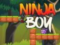 Lojë Djaloshi Ninja në internet