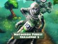 Lojë Sfida e Motocross në Pyll 2 në internet