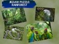 Lojë Puzzle Pyllin me shi në internet