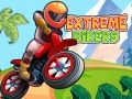 Lojë Bikerë Ekstrem në internet