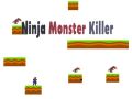 Lojë Vrasësi i Monstrave Ninja në internet