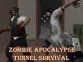 Lojë Mbijetesa e Tunelit të Apokalipsit Zombie  në internet