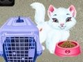 Lojë Kujdesi për Kafshët e Shtëpisë Baby Taylor në internet
