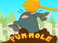 Lojë Pum-Mole në internet