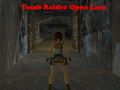 Lojë Tomb Raider: Lara e Hapur në internet