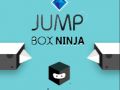 Lojë Ninja Kutinë Kërcim në internet