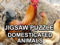 Lojë Puzzle me Kafshë Shtëpiake në internet