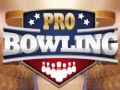 Lojë Bowling Profesional në internet Lojë Bowling Profesional në internet