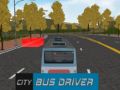 Lojë Shoferi i autobuzit të qytetit në internet