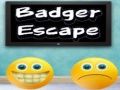 Lojë Ikundi i Badger në internet