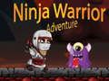 Lojë Avantura e Luftëtarit Ninja në internet