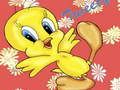 Lojë Koleksioni i puzzles së Tweety në internet Lojë Koleksioni i puzzles së Tweety në internet