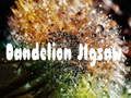 Lojë Pazulli me Dandelion në internet