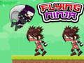 Lojë Ninja Fluturues në internet