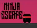 Lojë Shpëtimi Ninja në internet