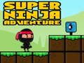 Lojë Super Aventurë Ninja në internet