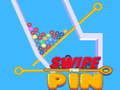 Lojë Shkruaj Pin në internet