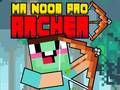Lojë Zoti Noob Pro Harqer në internet Lojë Zoti Noob Pro Harqer në internet