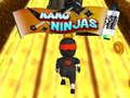 Lojë Ninja Nano në internet Lojë Ninja Nano në internet