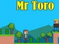 Lojë Zot Toro në internet