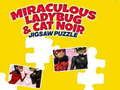 Lojë Ladybug i mrekullueshëm dhe Cat Noir: Enigmë në internet