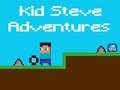 Lojë Avanturat e Kid Steve në internet