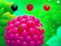 Lojë Raspberry i ëmbël në internet Lojë Raspberry i ëmbël në internet