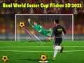 Lojë Kupa e Botës së Futbollit të Vërtetë Flicker 3D 2023 në internet Lojë Kupa e Botës së Futbollit të Vërtetë Flicker 3D 2023 në internet
