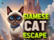 Lojë Ikja e macës Siamese në internet