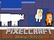 Lojë Shkolla e Kafshëve PixelCraft në internet