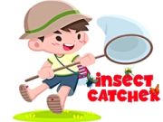 Lojë Insektet tërheqëse  në internet