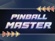 Lojë Mjeshtri i Pinball në internet