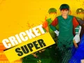 Lojë Kricket Super në internet