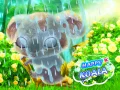 Lojë Koala i Lumtur në internet