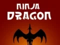 Lojë Dragua Ninja në internet
