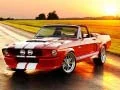 Lojë Dallimet e Mustangit të Hollësishëm në internet
