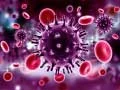 Lojë Pazulli Coronavirus në internet