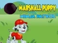 Lojë Patrulla Ninja e Ndërgjegjës së Marshall në internet
