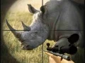 Lojë Gjaç për gjahtarin e rinocerosëve në internet Lojë Gjaç për gjahtarin e rinocerosëve në internet